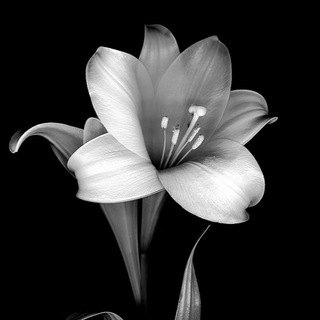 ТАМ, ГДЕ ИДЁТ СНЕГ