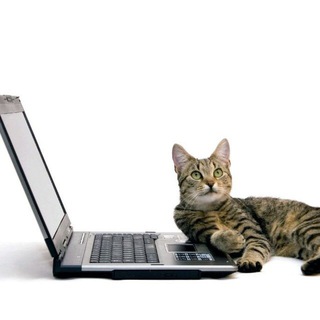 CATPUTER