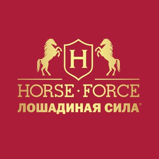 ЛОШАДИНАЯ СИЛА- ВЫБОР ЗВЁЗД!