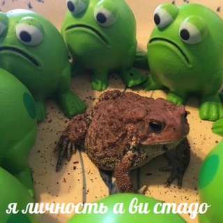 МОСТ НА ЖЕПИ