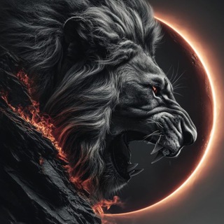 KINGLIFE INC | МОТИВАЦИЯ | БИЗНЕС