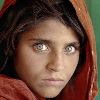 FOTOGRAFIA ITALIA TELEGRAM GRUPPO UFFICIALE