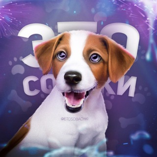 ЭТО СОБАЧКИ