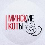 МИНСКИЕ КОТЫ 