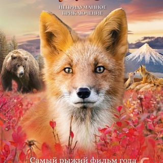 SHPILENOKFILM