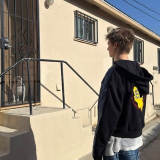 ГНИЛЫЕ ФИЛЬМЫ