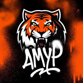 ТЕРРИТОРИЯ ТИГРОВ | ХК «АМУР»