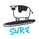 SURF FLUTTER TEAM