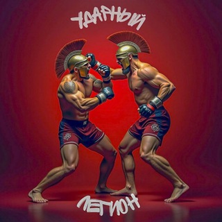 УДАРНЫЙ ЛЕГИОН