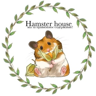 HAMSTER HOUSE