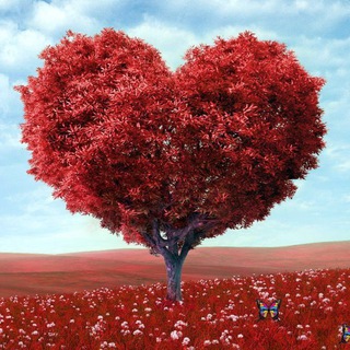 КИПР. САМОЕ ИНТЕРЕСНОЕ.