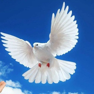  СУХИЕ БОРЩИ, СУПЫ И КАШИ - СУХПАЙ ИЗ ДОМАГОТОВИМ С ЛЮБОВЬЮ