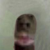 АЧЁ)