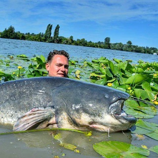 РЫБАЛКА НА СОМА | ВИТАЛИЙ ДАЛЬКЕ
