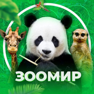 ЖИВОТНЫЕ ДОМАШНИЕ ПИТОМЦЫ