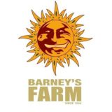 BARNEYS FARM FANS CHAT 