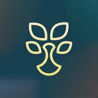 FINLIT.UZ - MOLIYAVIY SAVODXONLIK