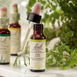 ЦВЕТЫ БАХА - BFRORGANIC.RU