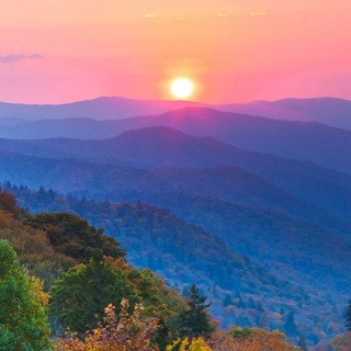 МЕРОПРИЯТИЯ ОТ TAMARA VEDALIFE