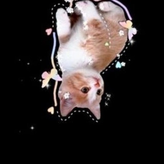 ASTROMEOW♡