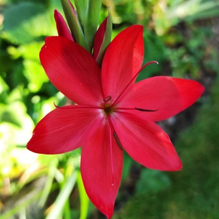 ЭЗОТЕРИЧЕСКИЕ ПРАКТИКИ