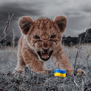 HOT MUSIC/МУЗИКА/ПІСНІ