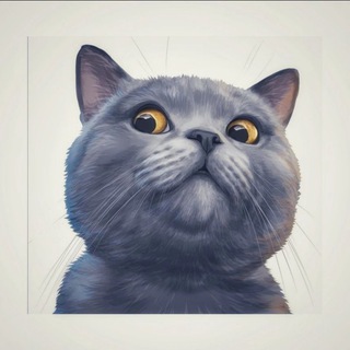 ОПЕРШТАБ РЫБАКОВ ИГОРЬ | ИНВЕСТИЦИИ