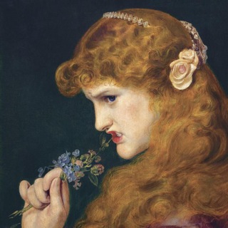 THEY CALL ME THE WILD 