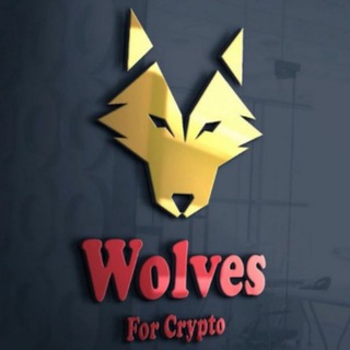 CRYPTO VOLKI
