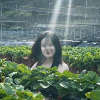 ~`➴ VILIX.SHOP ¦¦