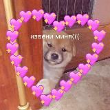 ПИКЧИ ДЛЯ ЛЮБВИ