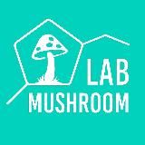  MUSHROOM LAB