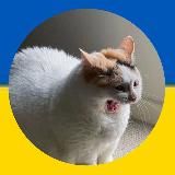 МОВИ ТЕЛЕГРАМУ