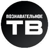 ПОЗНАВАТЕЛЬНО | НАУКА