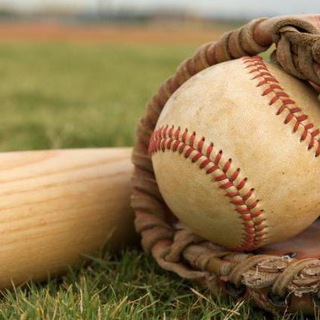 БЕЙСБОЛЬНАЯ ОРГАНИЗАЦИЯ - БИТА