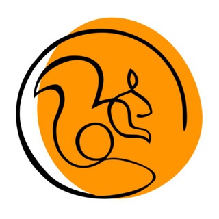 БЛОГ БЕЛОЧКИ