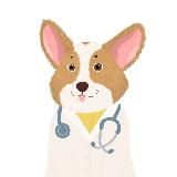 КОРГИ И USMLE - RESOURCES