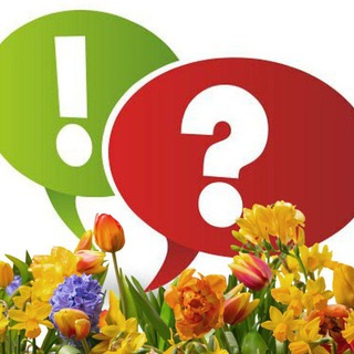 ВОПРОС - ОТВЕТ (КОРСАКОВ САХАЛИН.ОБЛ.)