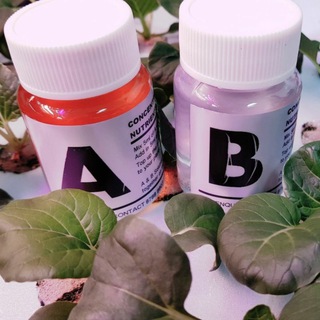 РАСТВОРЫ ДЛЯ ГИДРОПОНИКИ. КОМПЛЕКСНЫЕ УДОБРЕНИЯ И ЧИСТЫЕ СОЛИ.