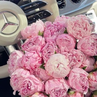 МЕЖДУ НАМИ ДЕВОЧКАМИ