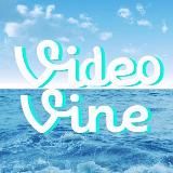 VIDEO VINE