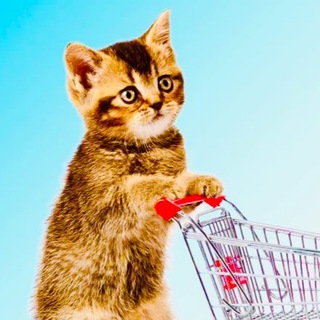 СКИДОНЧИК  WILDBERRIES  OZON