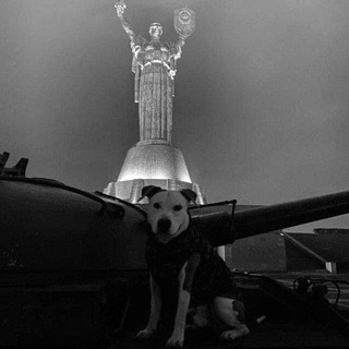 МУЗЫКА В МАШИНУ | ПОПУЛЯРНАЯ МУЗЫКА