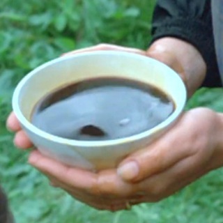 РУКИ БРЕССОНА