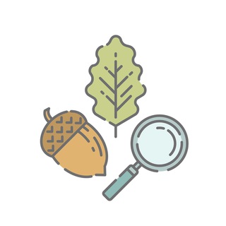 БОТАНИЧЕСКИЙ САД ПЕТРА ВЕЛИКОГО. САНКТ-ПЕТЕРБУРГ