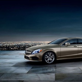 ЛИДЕР БЕЗ ТИТУЛА. Р. ШАРМА