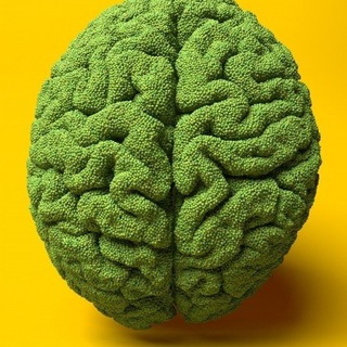 ДУМАТЬ ПОДАНО