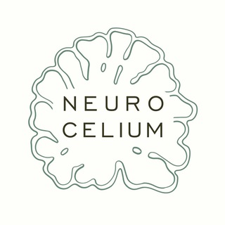NEUROCELIUM. ЕЖОВИК ГРЕБЕНЧАТЫЙ