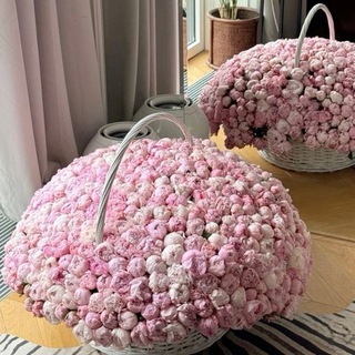 ៸៸ ꒰ ⲂⲈⲀⲤΥⲦ ꒱