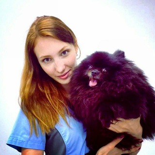 ВЕТЕРИНАРНЫЙ СТОМАТОЛОГ ЕКАТЕРИНА МАСЛОВА